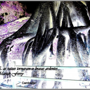 Cambodja XIX